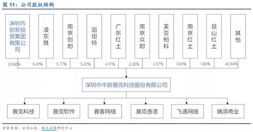 中新赛克财务建模 国内网络可视化龙头